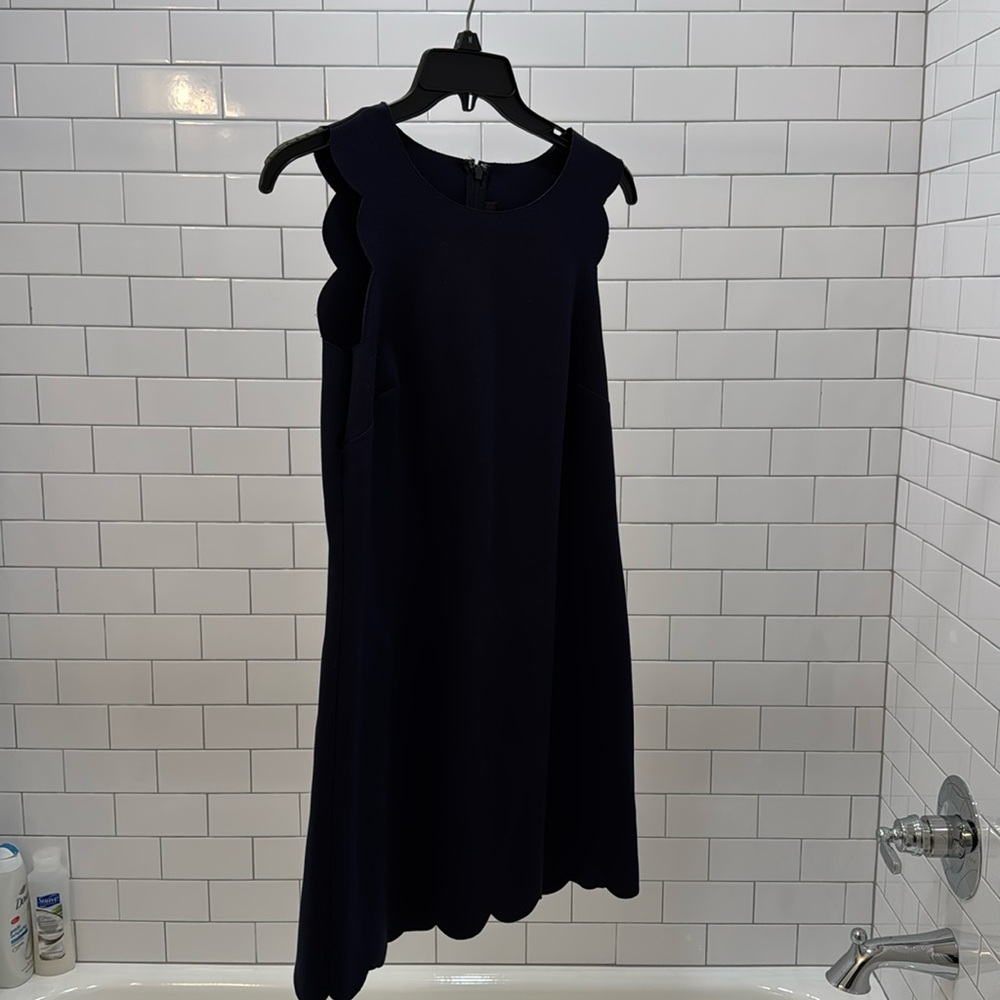 Adorable unique detail J Crew dress